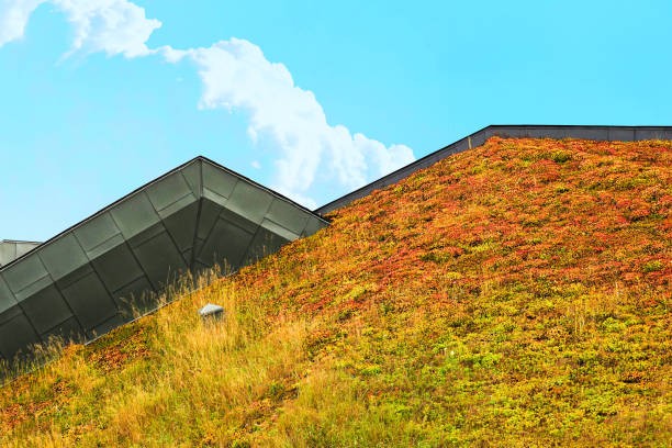 Zelené strechy a ich význam: Hydroizolácia pre udržateľnú budúcnosť 